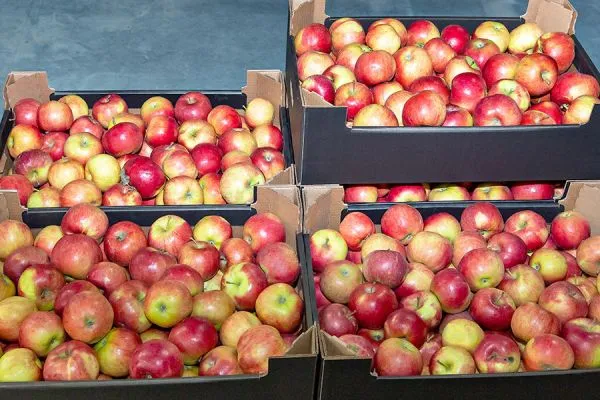 greenfrut-hranilische-0069D11E5B1-5FF6-6E67-A311-3D0360C9BF92.webp