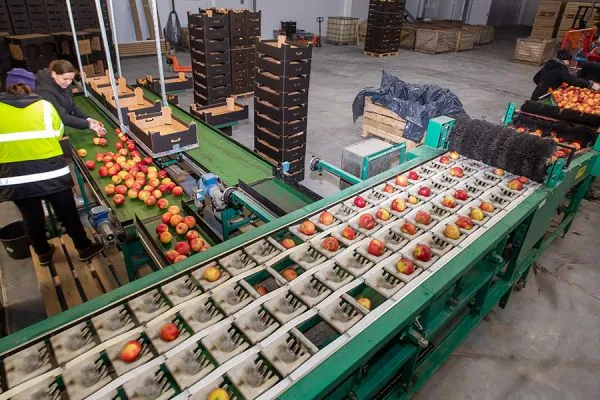 greenfrut-hranilische-sortirovka-00534AD2DDE-7E0C-5CBB-F5EA-AEBD89DF6F8D.webp