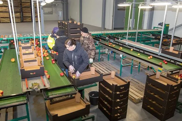 greenfrut-hranilische-sortirovka-006C783D73E-6191-70A0-3618-45E4E41963FE.webp